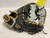 Used Wilson A2000 FP18 Fastptch First Base RH Throw Black 12" 11855-S000208039 View 2