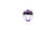 Used Champion Sports CHAMPION SPORTS BB/SB Fielders Mask Purple One Size 11917-S000020207 View 1