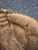 Used Rawlings PCM30 BB/SB Catchers RH Throw Brown 33" 11162-S000461882 View 2