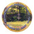 Used Innova 2007 FORSYTH COUTH OPEN Disc Golf Driver White 174g 11890-S000146203 View 1