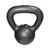 Used Kettle Dumbbell (Each) Black 25 lb 11724-S000230011 View 1