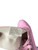 Used ADULT ROLLAR SKATES SZ 10.5 Senior Roller Quad Skates Purple Senior 10.5 11680-S000438088 View 3