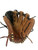 Used Rawlings Sandlot 12" RHT BB Glove 11692-S000155676 View 3