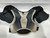 Used CCM DVE Youth Shoulder Pads LG 11876-S000010173 View 6