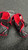 Used Bauer VAPOR X100 Senior Elbow Pads MD 11162-S000462416 View 2