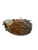 USED MARUCCI OXBOW SERIES RH THROW 33.5” CATCHERS MITT 11835-S000211468 View 1