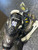 Used Bauer SUPREME M40 Junior Hockey Skate Junior 02.5 11913-S000018277 View 9