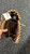 Used Mizuno FRANCHISE FASTPITCH BB/SB Catchers RH Throw Brown 34" 11162-S000462795 View 3