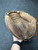 Used Rawlings GGBCM20 BB/SB Catchers RH Throw Brown 32" 11945-S000257937 View 1