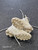 Used Under Armour Jr FB Cleats White Junior 03 11849-S000043006 View 3