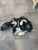 Used Vaughn VELOCITY Senior Shoulder Pads MD 11614-S000242225 View 2