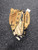 Used Mizuno MMX115P BB/SB Glove RH Throw Brown 11 1/2" 11162-C000462949 View 1