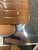 Used Jackson MYSTIQUE WomensFigure Skate White Senior 8.5 11162-S000463070 View 5