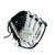 Used Easton PROFESSIONAL COLLECTION HM828 NEVER USED RH Throw Fastpitch Gloves White 12 3/4" View 2