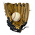 Used Mizuno GPP1002 BB/SB Glove RH Throw Brown 10" 11735-S000367959 View 3