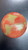 Used Discraft CHANDLER FRY TOUR SERIES SURGE Disc Golf Driver Orange 11477-S000216925 View 1