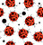 New HOCSOCX LADY BUGZ-SMALL 11944-54HHOCBUG-S View 1
