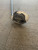 Used Taylormade RBZ HYBRID 3 Mens Hybrid Club RH 3 Hybrid 11614-S000242523 View 1