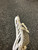 Used Maverik TACTIK 3 Mens Lacrosse Head White 11162-S000463421 View 2