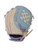 Used Dsg FIELDERS GLOVE BB/SB Glove RH Throw None 11" 11450-S000527425 View 1