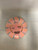 Used MVP TRACE COSMIC NEUTRON Disc Golf Driver Pink 167g 11823-S000041446 View 1