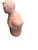 Used Century BOB Body Opponent Punching Dummy 11902-S000347232 View 2