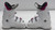 Used Rossignol FUN GIRL Girls DH Ski Boot White 185 MP - Y12 11860-S000314335 View 2