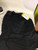 Used COOLLOMG HEART GUARD Other Clothing Black SM 11900-S000029668 View 1
