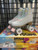 New Roller Skate 9 IMPALA PRW View 1
