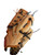 Used Rawlings RBG90 BB/SB Glove RH Throw Brown 11" 11732-S000371924 View 3