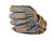 Used Easton FUTURE LEGENDS BB/SB Glove RH Throw Brown 10 3/4" 11450-S000527609 View 2