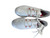 Used Foot Joy YTH FUEL Jr Golf Shoes White Junior 03 11932-S000174301 View 2