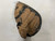 Used Mizuno Prospect Series Power Close GXC100 Baseball Catchers LH Throw Brown 33" 11876-S000010955 View 3