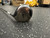 Used Nike NDS Mens Fairway Wood RH 5 Wood 11162-S000463959 View 2