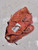 Used Ssk DIMPLE 2 BB/SB Glove RH Throw Brown 11 1/4" 11860-C000314547 View 1