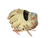 Used Rawlings HEART OF HIDE BB/SB Glove RH Throw Brown 11 1/2" 11613-S000188907 View 2