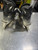 Used Bauer HYPERLITE 2 Intermediate Hockey Skate Intermediate 5.0 11913-S000018981 View 4