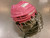 Used Bauer PROFILE Hockey Wire Mask Pink MD 11339-S000206359 View 2