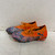 Used Puma Soccer Cleats Orange Senior 7.5 11762-S000084703 View 1