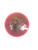 Used Discmania MAESTRO Disc Golf Mid Range Pink 11884-S000068917 View 1