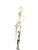 Used Brine EPIC 2 Wmn Atk/Mid Complete Stick White 11613-S000189103 View 6