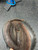 Used MacGregor CATCHERS MITT BB/SB Catchers RH Throw Brown 32" 11337-S000495881 View 3