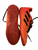 Used Adidas Soccer Turf Shoes Orange Junior 04.5 11613-S000189295 View 2