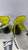Used Bauer SUPREME FORCE Senior Hockey Skate Senior 10 11795-S000036081 View 3
