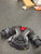Used Bauer VAPOR X 2.9 Inter Body Armor LG 11162-S000464870 View 1