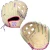 New Marucci ACADIA 47A3FP H WEB RH Throw Fastpitch Gloves None 12 1/2" 11479-MRCMFG4AC47A3CMLPR View 1