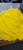 Used Basketball Other Yellow MD 11497-S000161276 View 1