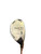 Used Powerbilt HYBRID Jr Hybrid Club RH 5 Hybrid 11937-S000092343 View 1