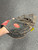 Used Rawlings D325BWCM BB/SB Catchers RH Throw Black 32 1/2" 11945-S000259060 View 1