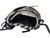 Used Rawlings ENCORE Catchers Glove RH Throw Black 32" 11742-S000545833 View 4